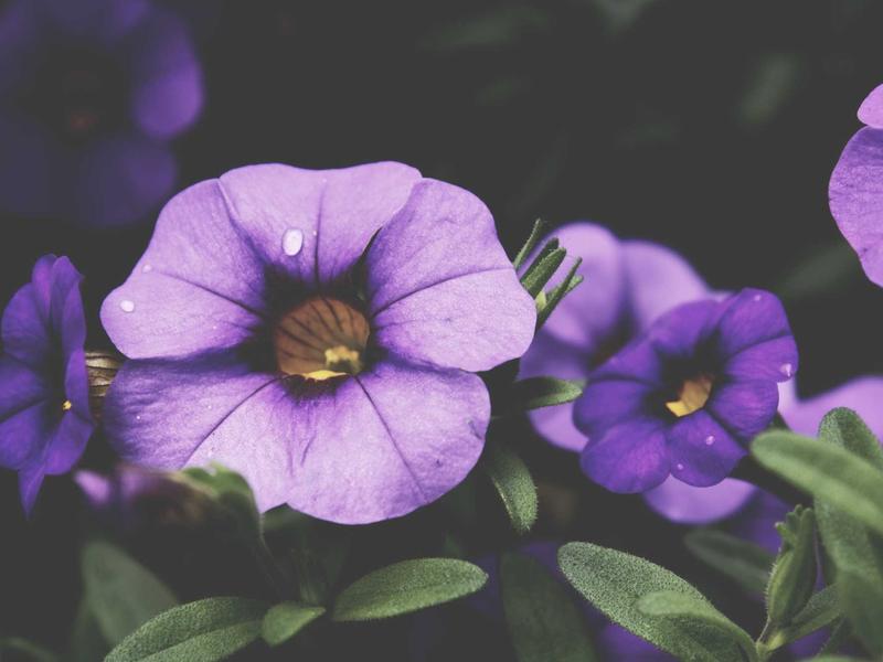 sudoku brain exercise screenshot 5