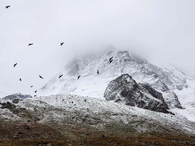 sudoku brain exercise screenshot 6